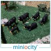 076-508 Black Cows (Pack of 6) OO Gauge 1:76 scale Figures